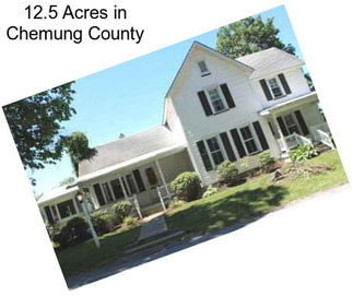 12.5 Acres in Chemung County