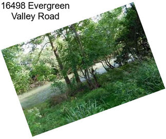 16498 Evergreen Valley Road