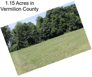 1.15 Acres in Vermilion County