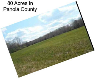 80 Acres in Panola County