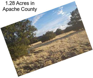 1.28 Acres in Apache County