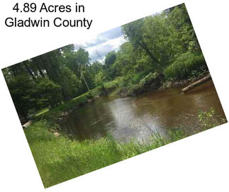 4.89 Acres in Gladwin County