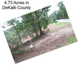 4.73 Acres in DeKalb County