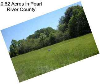0.62 Acres in Pearl River County
