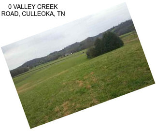 0 VALLEY CREEK ROAD, CULLEOKA, TN