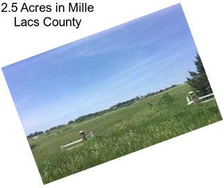 2.5 Acres in Mille Lacs County