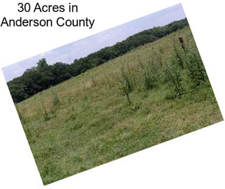 30 Acres in Anderson County