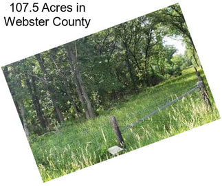 107.5 Acres in Webster County