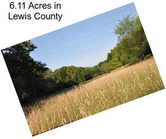 6.11 Acres in Lewis County