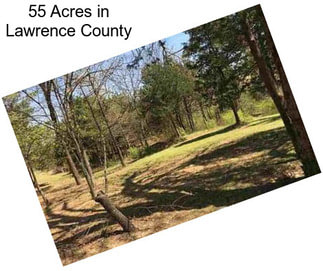 55 Acres in Lawrence County