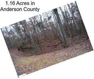 1.16 Acres in Anderson County