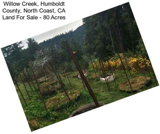 Willow Creek, Humboldt County, North Coast, CA Land For Sale - 80 Acres