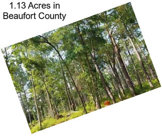 1.13 Acres in Beaufort County