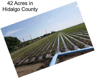 42 Acres in Hidalgo County