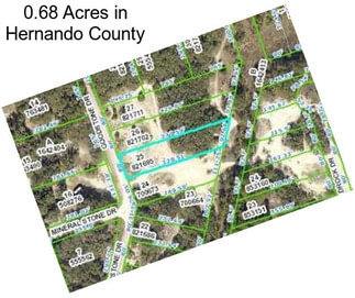 0.68 Acres in Hernando County