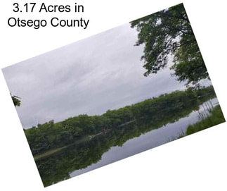 3.17 Acres in Otsego County