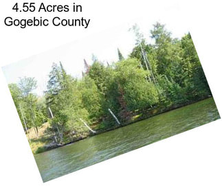 4.55 Acres in Gogebic County
