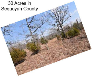 30 Acres in Sequoyah County