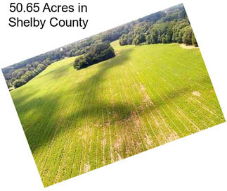 50.65 Acres in Shelby County