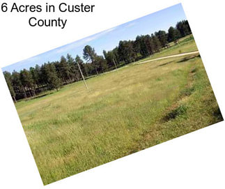 6 Acres in Custer County