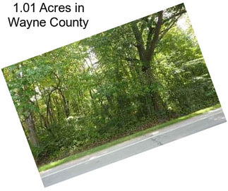 1.01 Acres in Wayne County