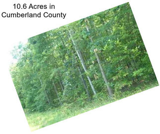 10.6 Acres in Cumberland County