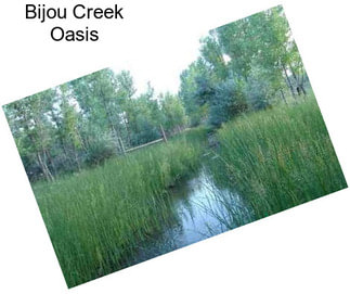 Bijou Creek Oasis
