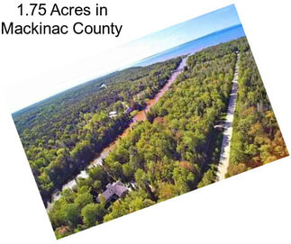 1.75 Acres in Mackinac County