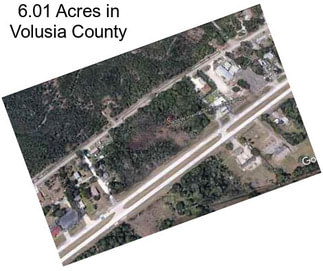 6.01 Acres in Volusia County