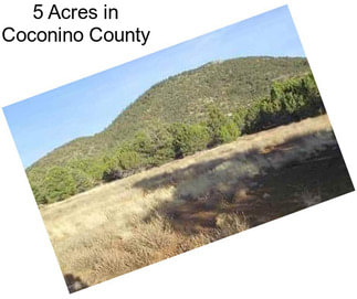 5 Acres in Coconino County