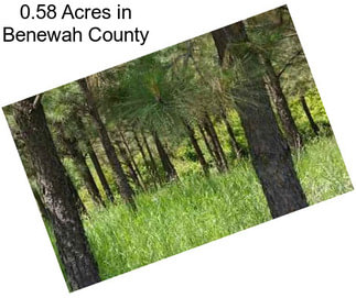 0.58 Acres in Benewah County