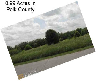 0.99 Acres in Polk County