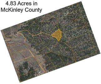 4.83 Acres in McKinley County