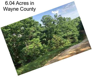6.04 Acres in Wayne County