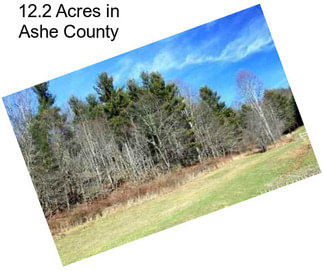 12.2 Acres in Ashe County