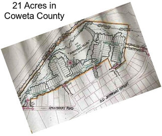 21 Acres in Coweta County