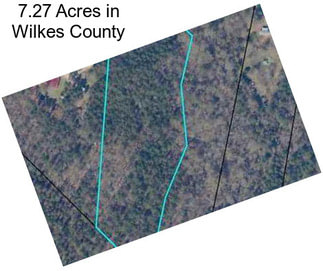 7.27 Acres in Wilkes County