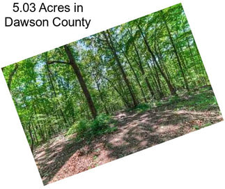 5.03 Acres in Dawson County