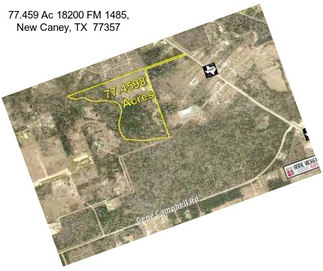 77.459 Ac 18200 FM 1485, New Caney, TX  77357