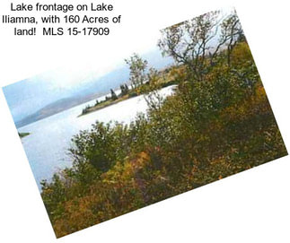 Lake frontage on Lake Iliamna, with 160 Acres of land!  MLS 15-17909