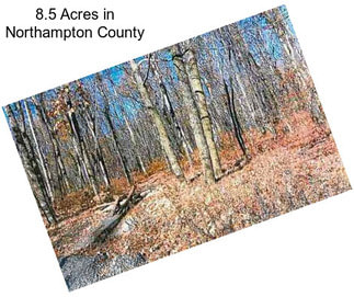 8.5 Acres in Northampton County