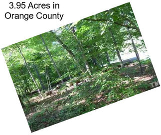 3.95 Acres in Orange County