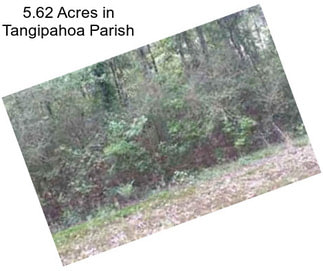 5.62 Acres in Tangipahoa Parish