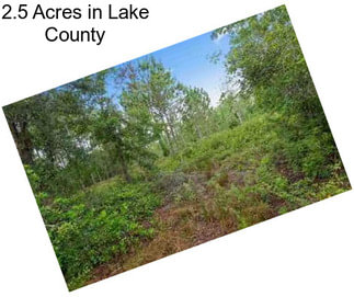 2.5 Acres in Lake County