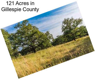 121 Acres in Gillespie County