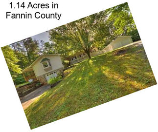 1.14 Acres in Fannin County