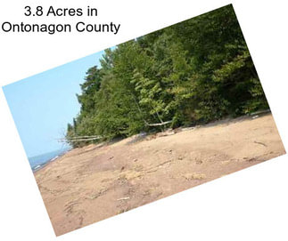 3.8 Acres in Ontonagon County
