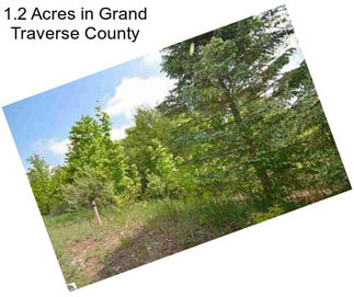 1.2 Acres in Grand Traverse County