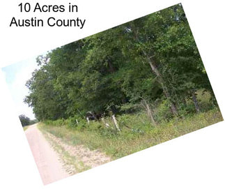 10 Acres in Austin County