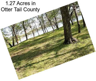 1.27 Acres in Otter Tail County